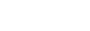 Desechables Xballoon